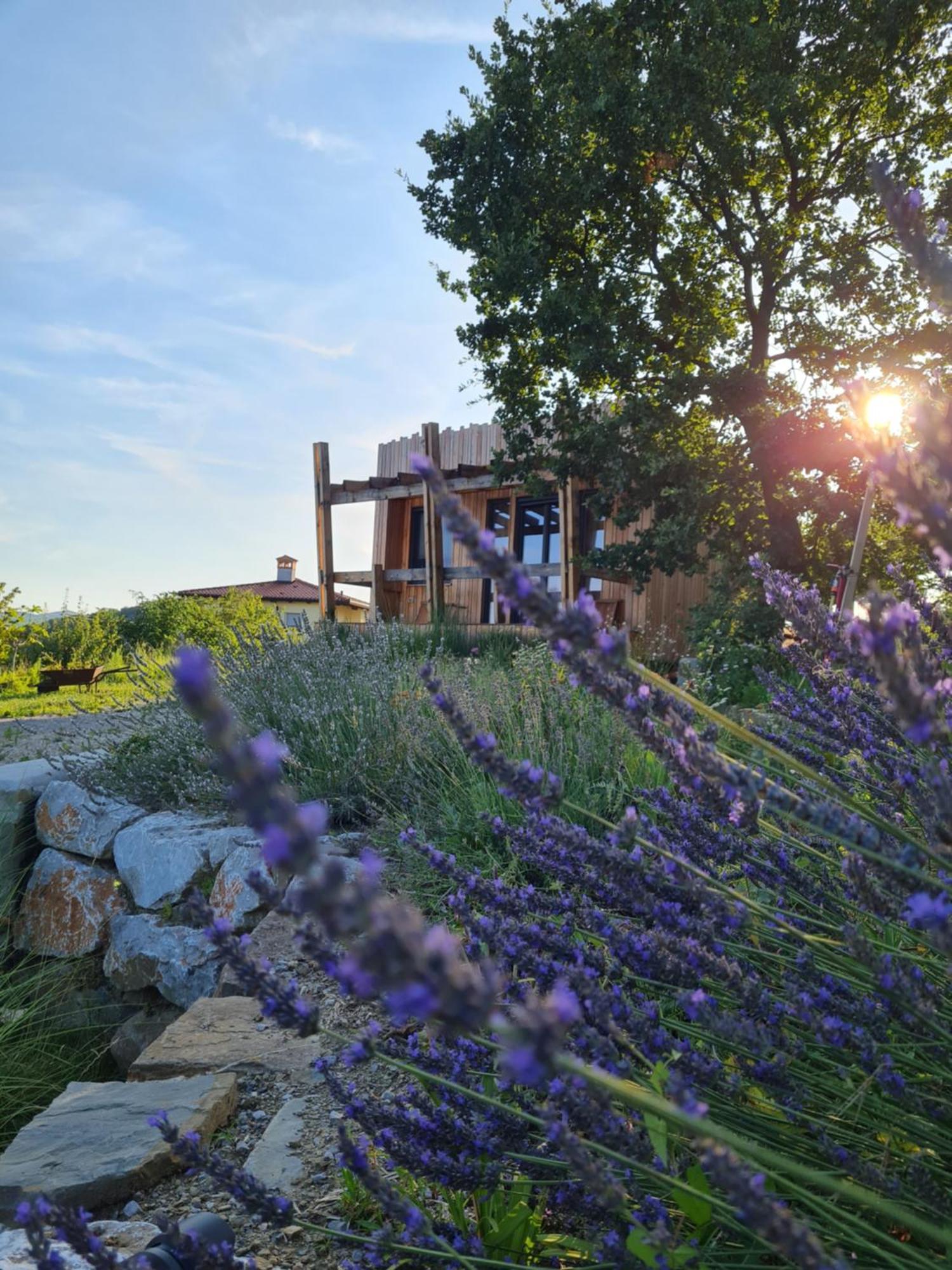 Panorama Glamping Vipavska Dolina Apartment Dobravlje ภายนอก รูปภาพ