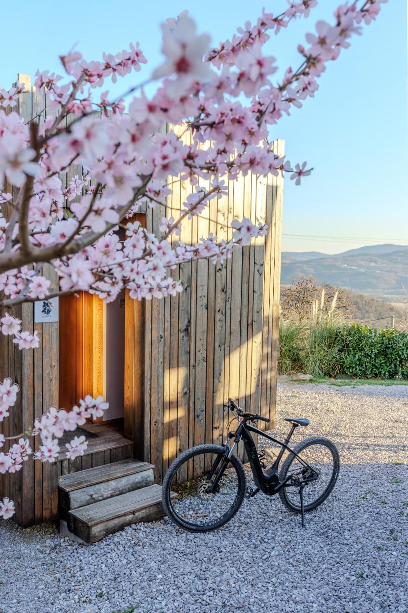Panorama Glamping Vipavska Dolina Apartment Dobravlje ภายนอก รูปภาพ